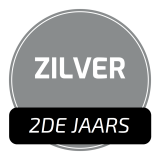 Wallz-knop_Zilver